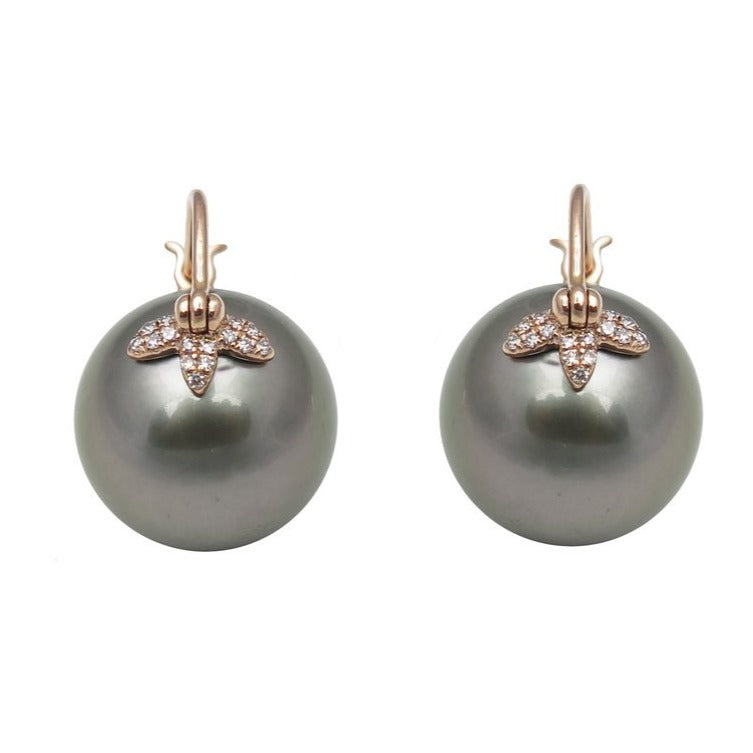 Flying Tahitian or Australian Pearl Earrings